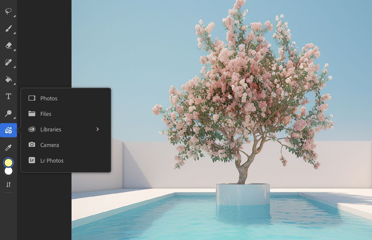 Tap the Place Photo icon and view the sources from which you can add photos.