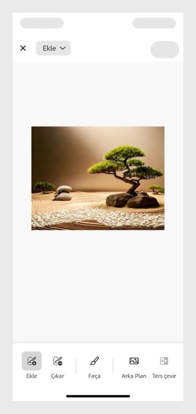 Kum, bonsai ağaçları ve Arnavut kaldırımlı yola sahip minimalist Zen bahçesi. 