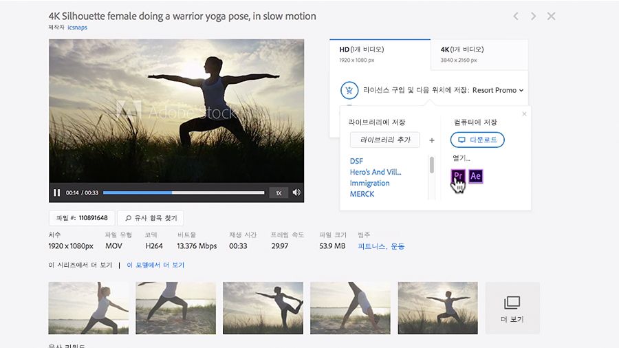 Adobe Stock에서 영상 라이선스 구매 후 Premiere Pro에서 열림 
