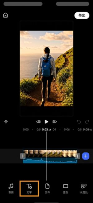 在“添加媒体”菜单中，“文本”选项处于高亮状态，旁边显示“音频”和“文件”选项。