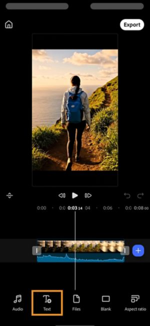 Text option highlighted in the add-media menu, alongside Audio and Files.