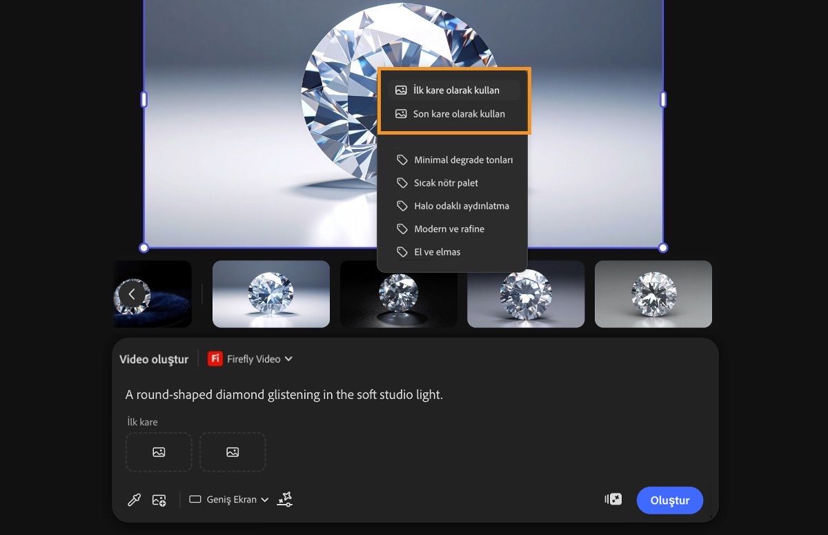 Tuvaldeki görüntü seçilidir ve Tuvalden örnek alma kullanılarak video oluşturmak için ilk veya son kare olarak belirlenir.