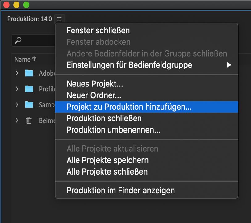Hinzufügen eines vorhandenen Projekts zu einer Produktion