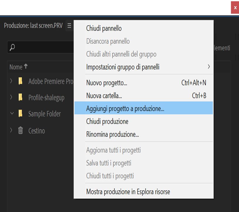 Aggiunta di un progetto esistente a una produzione
