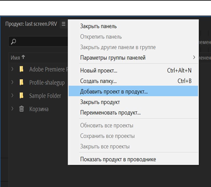 Добавление существующего проекта в продукт