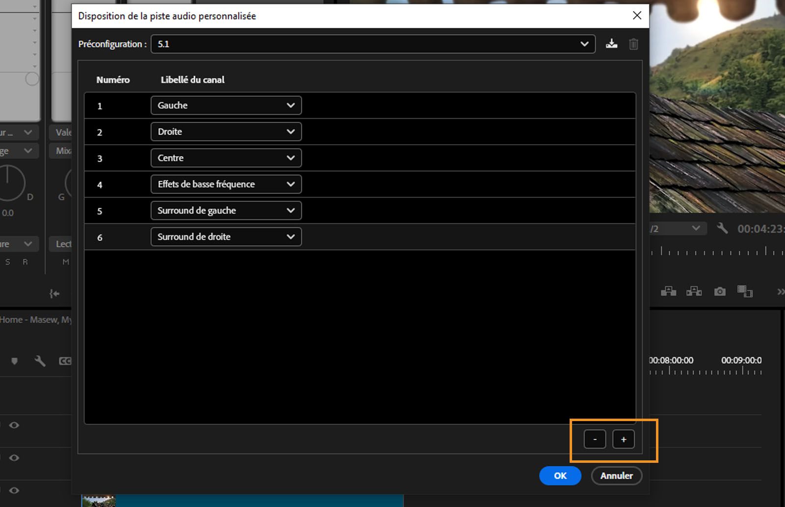 La boîte de dialogue Disposition personnalisée des canaux audio est ouverte, affichant différents canaux, et les options permettant d’ajouter ou de supprimer des canaux sont mis en evidence. 