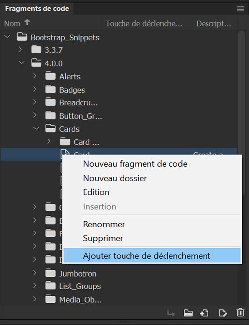 Sélectionnez l’option Ajouter touche de déclenchement dans le panneau Fragments de code