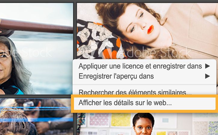 Cliquez avec le bouton droit sur une image et sélectionnez Afficher les détails sur le web pour obtenir plus d’informations sur celle-ci.