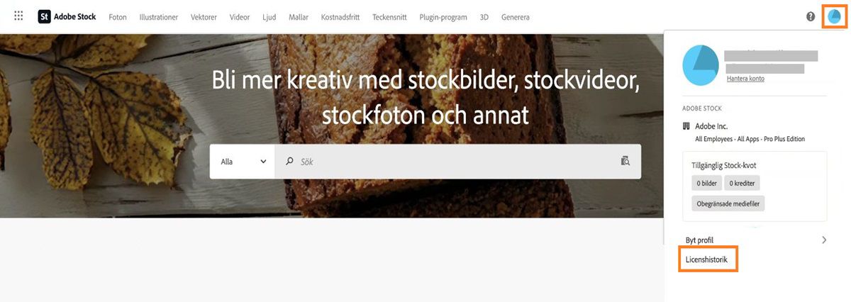 Kom åt din licensierade stock-bild under Licenshistorik.