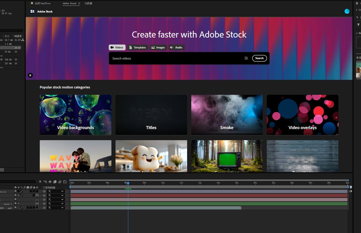 Adobe Stock 面板停靠在 After Effects 中，显示包含图像、视频和模板的搜索结果。