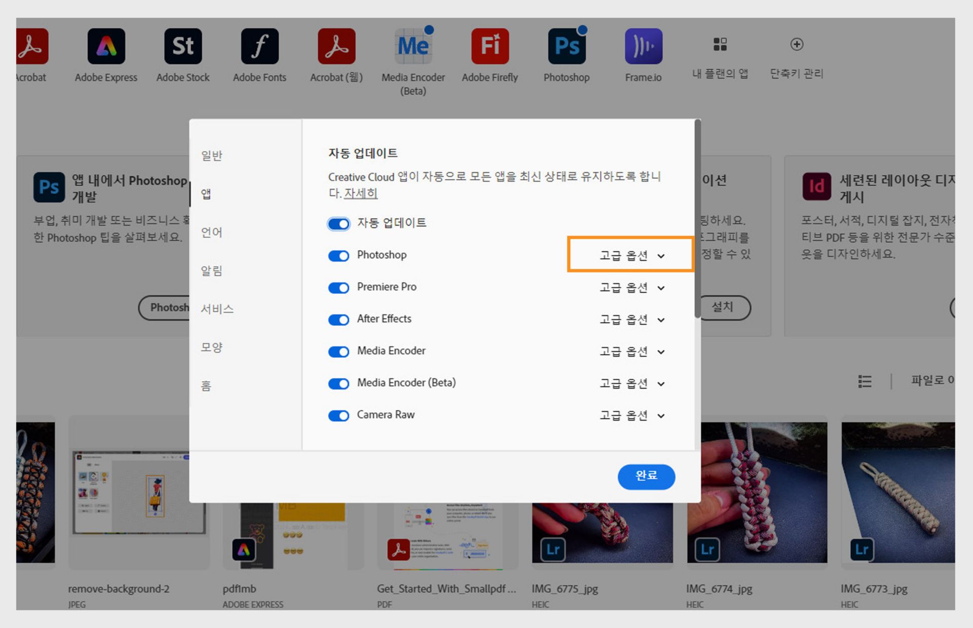 환경 설정 창의 애플리케이션 탭에서 자동 업데이트 섹션을 통해 모든 애플리케이션 및 개별 애플리케이션에 대한 자동 업데이트를 켜거나 끄고 고급 옵션을 표시할 수 있습니다.