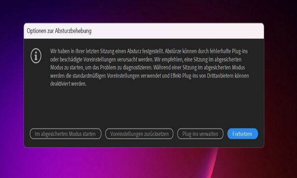 Das Dialogfeld „Optionen zur Absturzbehebung“, wenn After Effects nach einem Absturz neu gestartet wird.