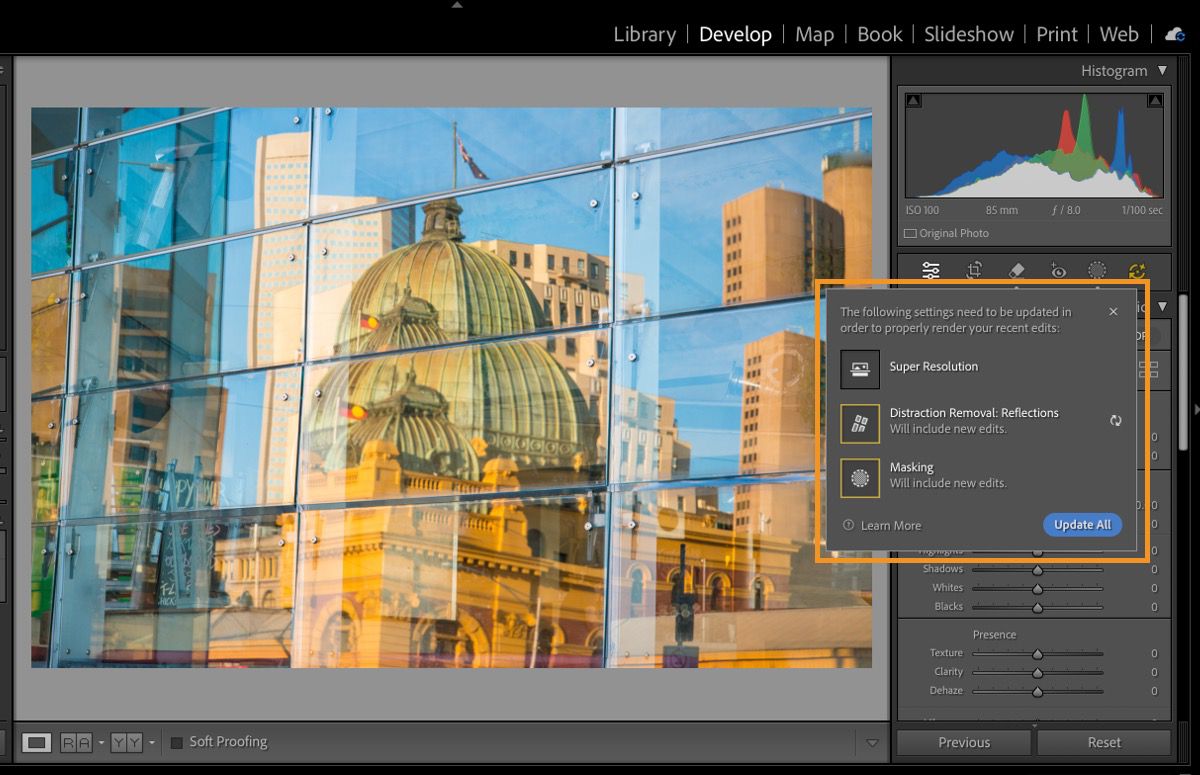 An image of intricate artwork taken through window with reflections is available in Adobe Camera Raw. 