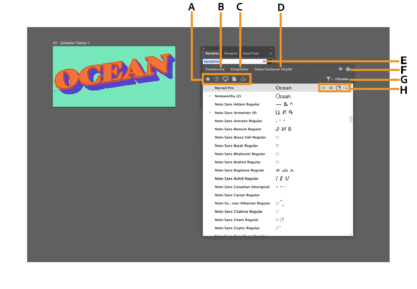 Hızlı filtreler, sekmeler, ayarlar, filtreler ve fonta özel seçeneklerin vurgulandığı font tarayıcısı.