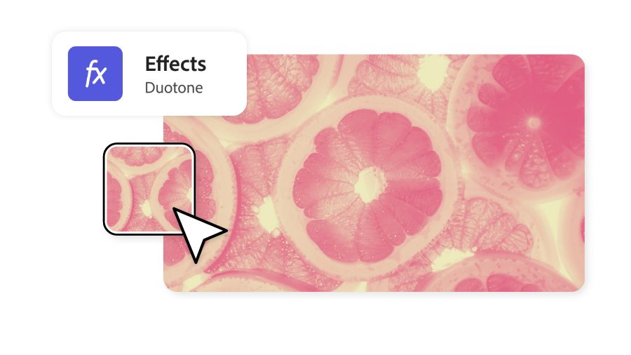 Orange and pink duotone effect being added to an image of grapefruit slices in Adobe Express