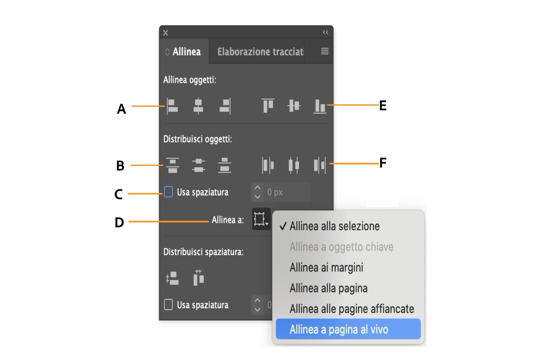 Pannello Allinea con varie opzioni