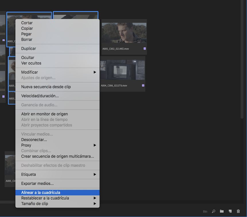 Alinear los clips a la cuadrícula