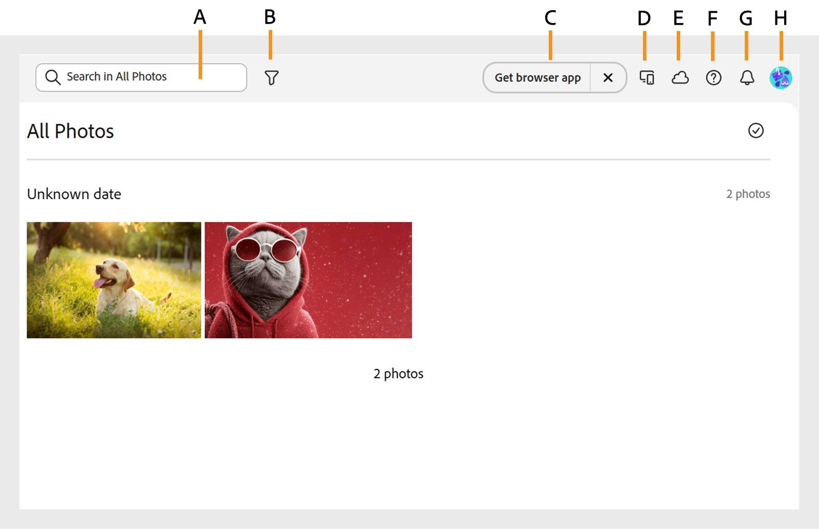 The All Photos workspace is shown with options to search and filter images, download app, manage cloud storage, modify user profile and more. 
