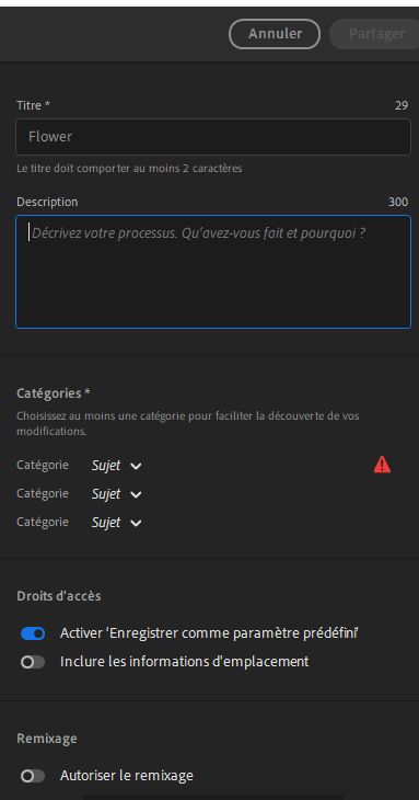 Saisissez les détails et cliquez sur Partager pour permettre à d’autres personnes de remixer votre photo !