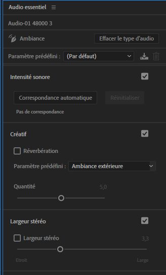 Options d’ambiance