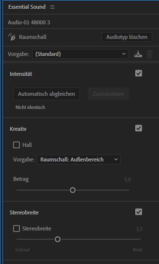 Raumschalloptionen