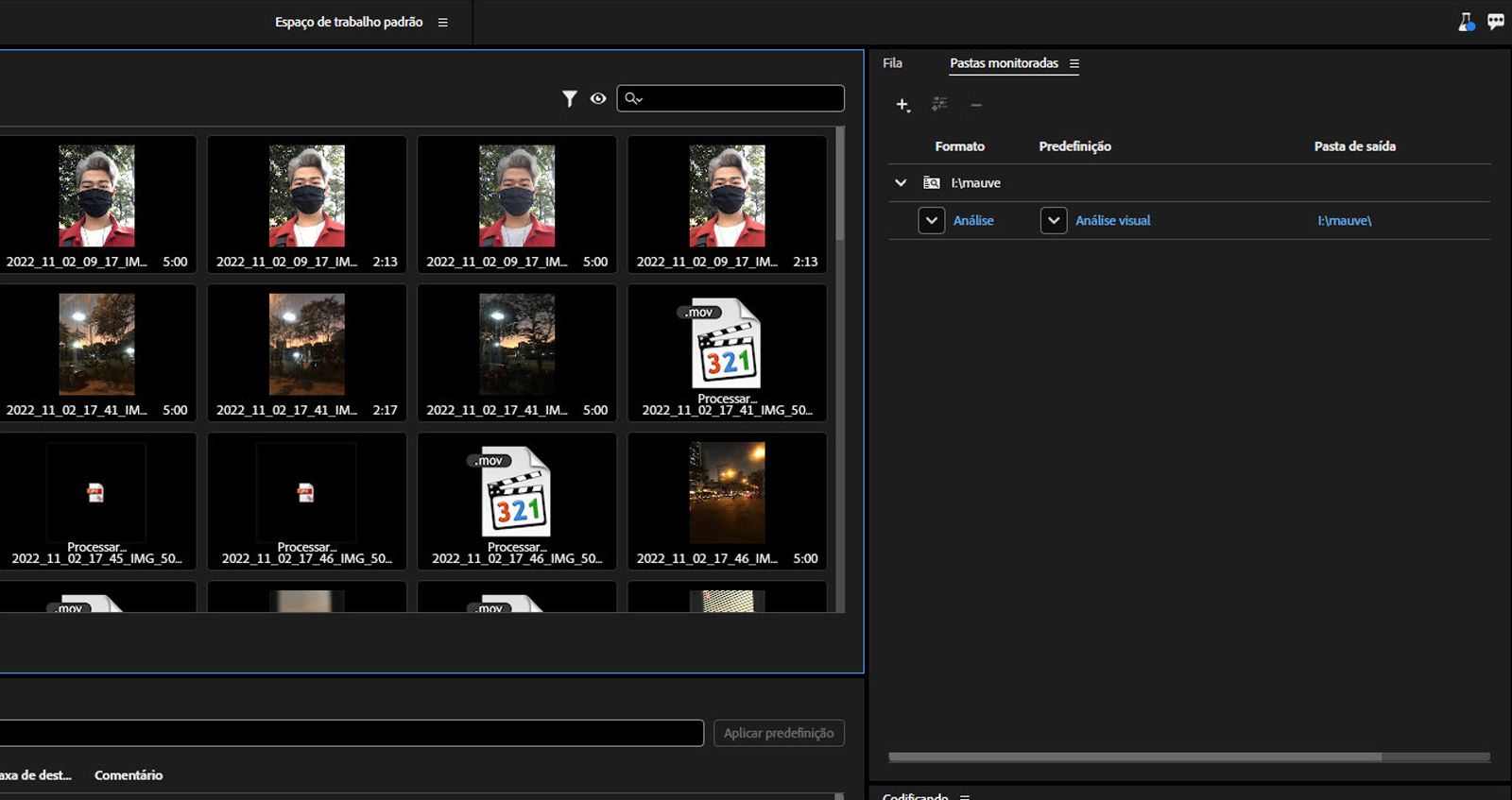 O painel Pastas monitoradas está aberto e está exibindo os arquivos de mídia e os arquivos auxiliares. 