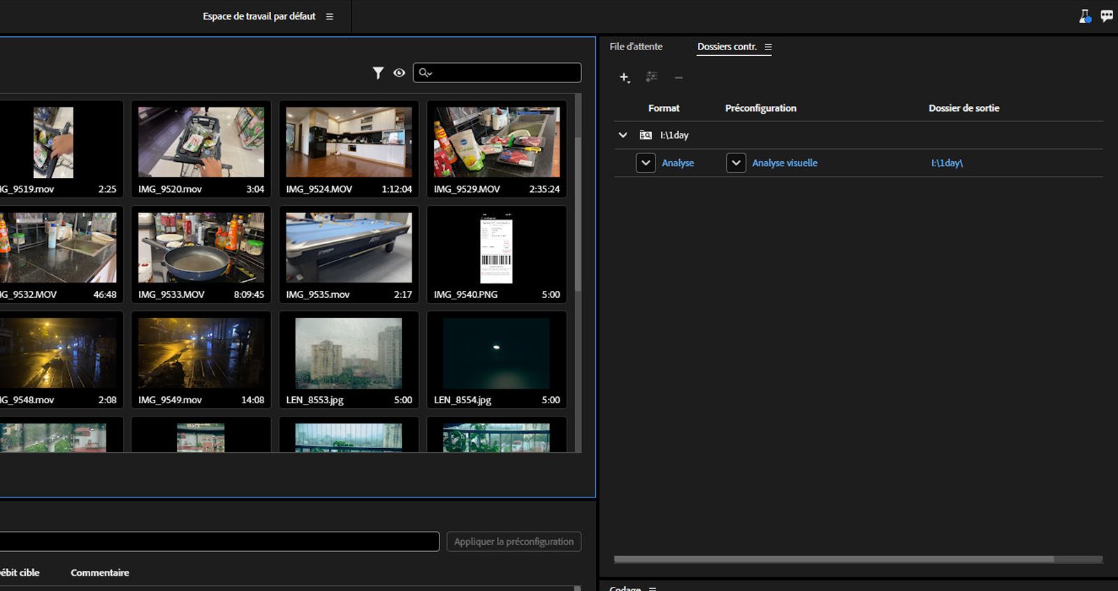 Le panneau Dossiers de contrôle s’ouvre et affiche les fichiers multimédias et les fichiers sidecar. 