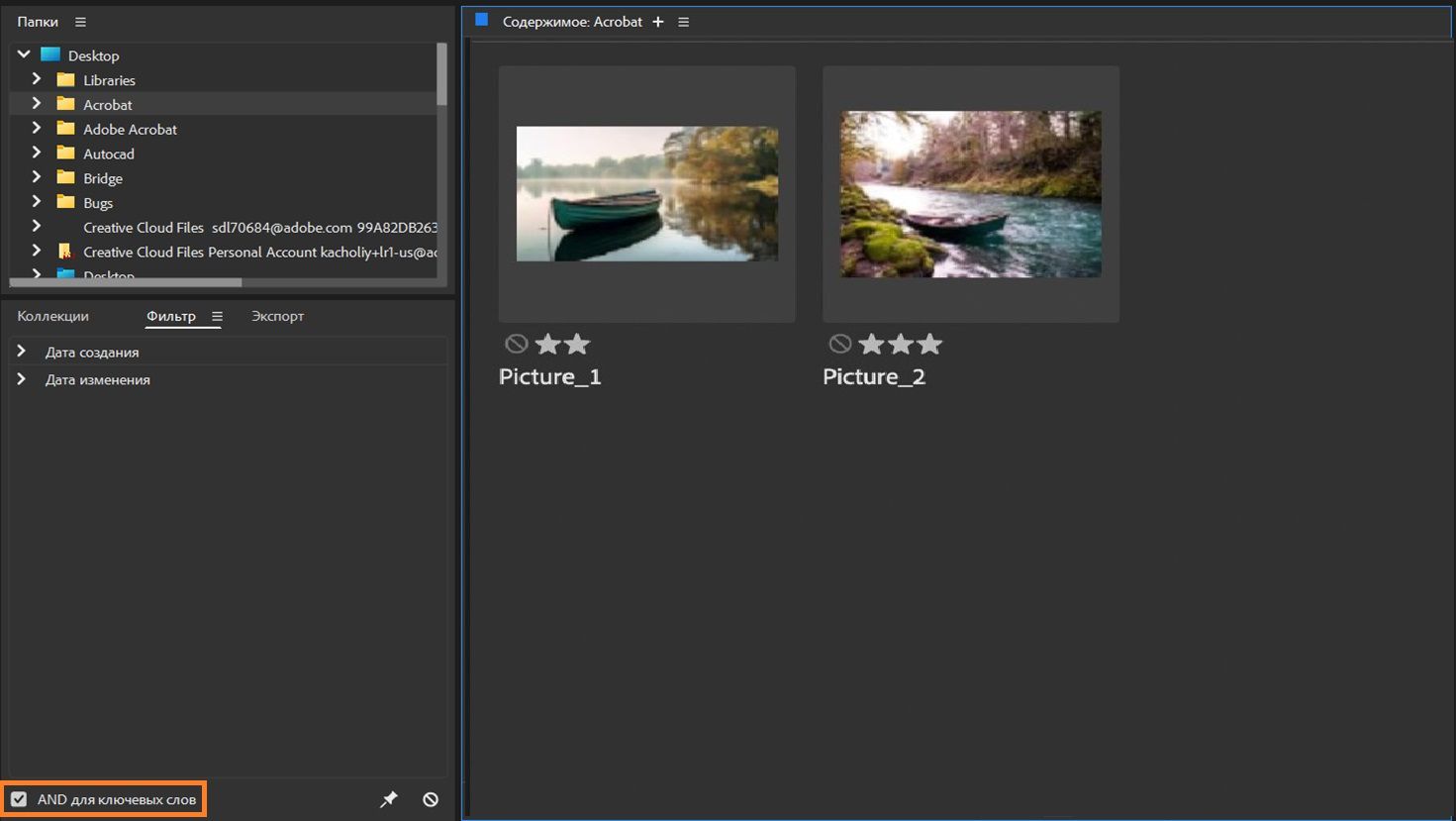 Просмотр и управление файлами в Adobe Bridge