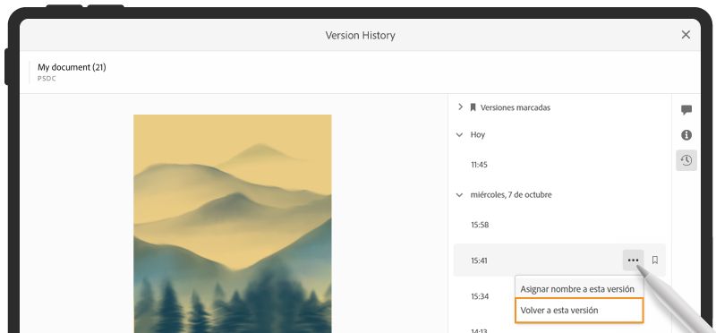 Historial de versiones en la aplicación