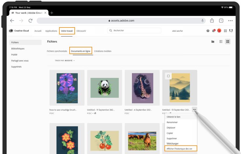 Historique des versions Fresco sur le Web