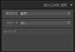 読み込み時に適用