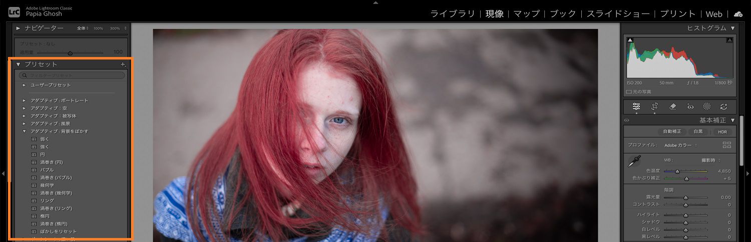 Lightroom のカンバスに 2 人の子供と犬の画像が開かれており、プリセットパネルがハイライトされています。