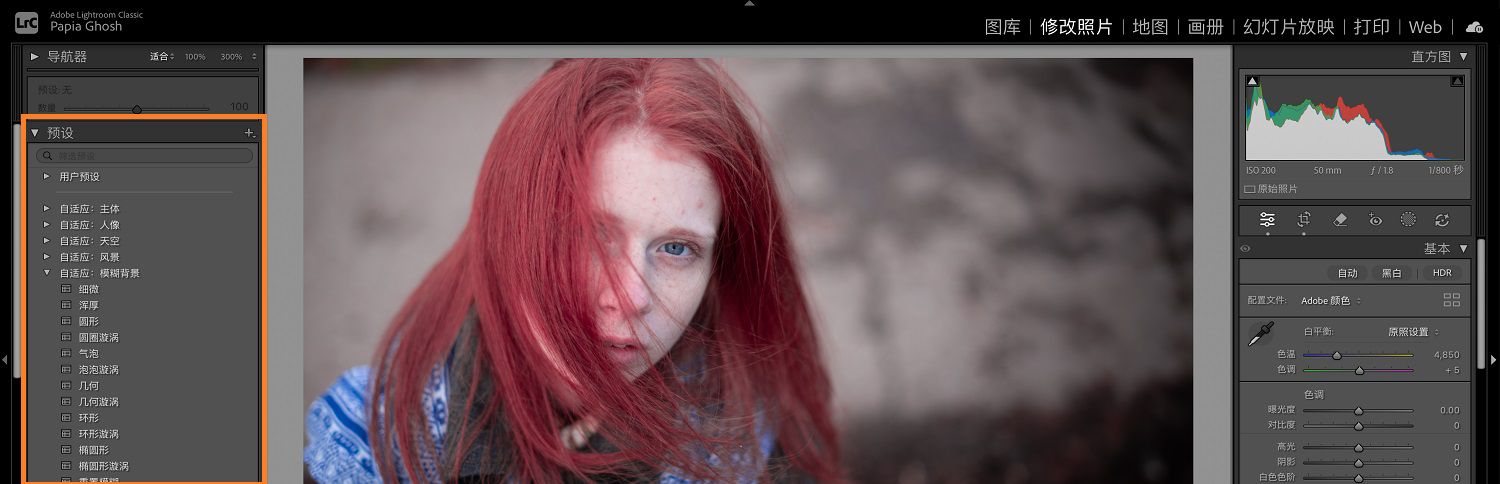 Lightroom 画布中显示了一张包含两个孩子和一只狗的图像，其中的预设面板已高亮显示。
