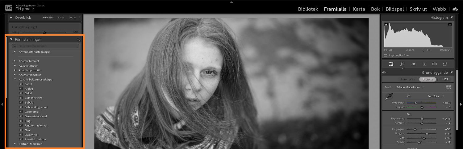 En bild med två barn och en hund är öppen på Lightroom-arbetsytan där förinställningspanelen framhävs.