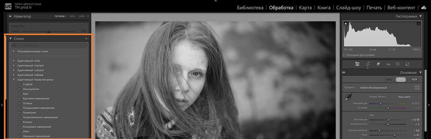 На холсте Lightroom открыто изображение с двумя детьми и собакой и выделена панель стилей.