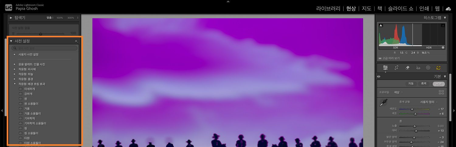 Lightroom 캔버스에서 사전 설정 패널이 강조 표시된 상태로 강아지와 함께 있는 두 아이의 이미지가 열려 있습니다.