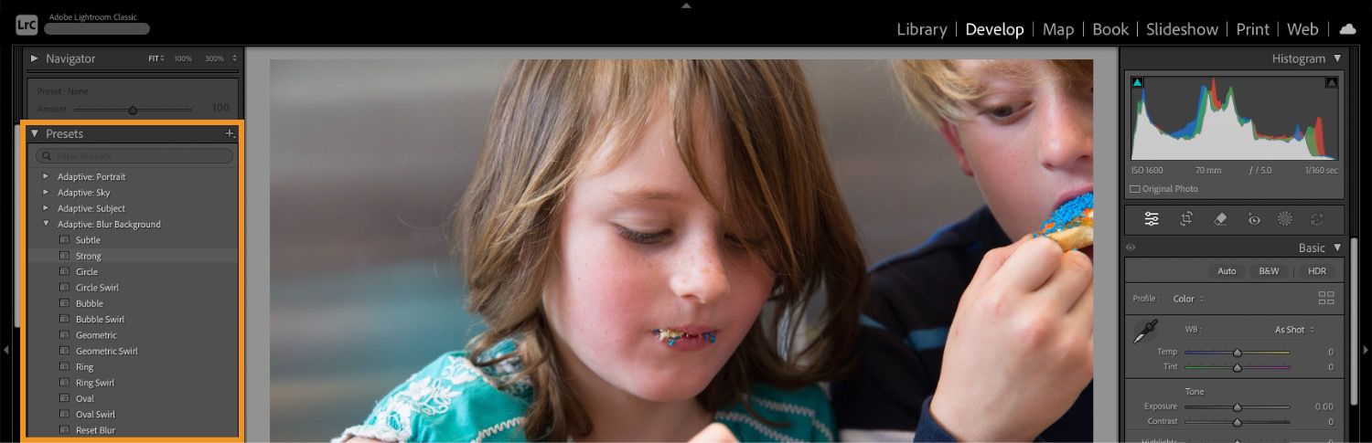 An image with two kids with dog is opened on Lightroom canvas where presets panel is highlighted.