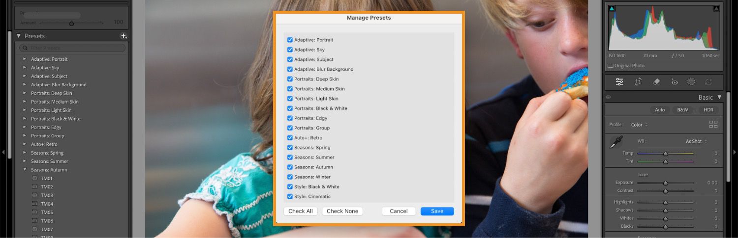 Manage Presets dialog box is opened over Lightroom canvas.