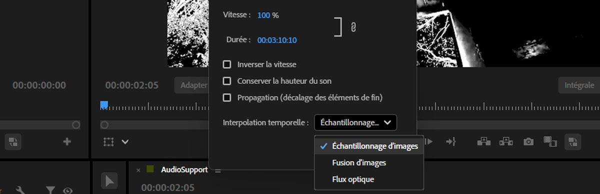 La boîte de dialogue Vitesse/Durée du clip est ouverte et propose des options parmi lesquelles vous pouvez choisir, telles que Échantillonnage d’images, Mélange d’images et Flux optique.