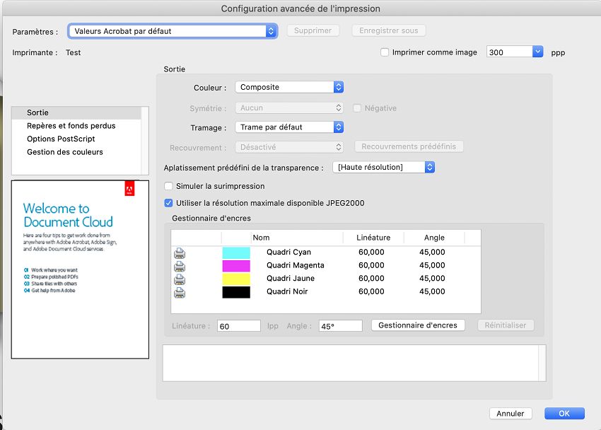 Boîte de dialogue Configuration avancée de l’impression
