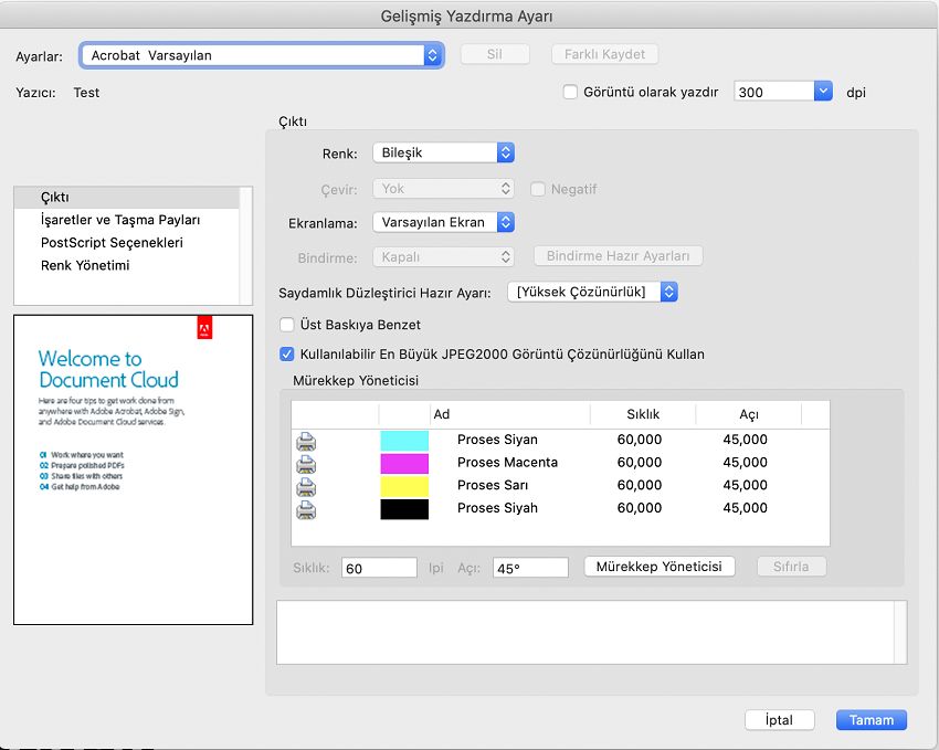 Gelişmiş Yazıcı Kurulumu iletişim kutusu