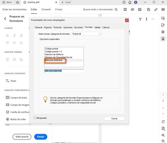 Entrada de máscara arbitraria en Acrobat