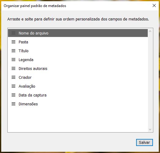 organizar-campos-metadados