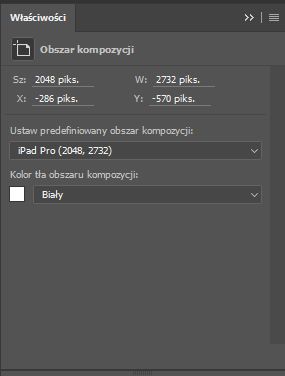 Panel Właściwości obszaru kompozycji w programie Photoshop