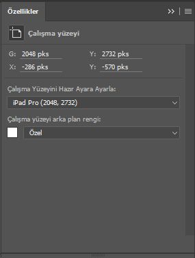Photoshop Çalışma Yüzeyi Özellikler paneli