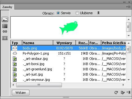 Panel Zasoby w widoku aktywnym