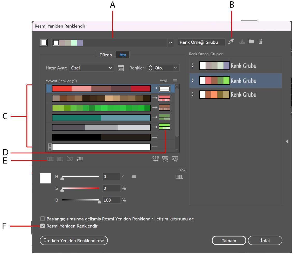 Resmi Yeniden Renklendir seçenekleri