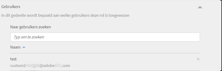 Gebruikers toewijzen aan aangepaste rol