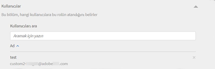 Kullanıcıları özel rol atama