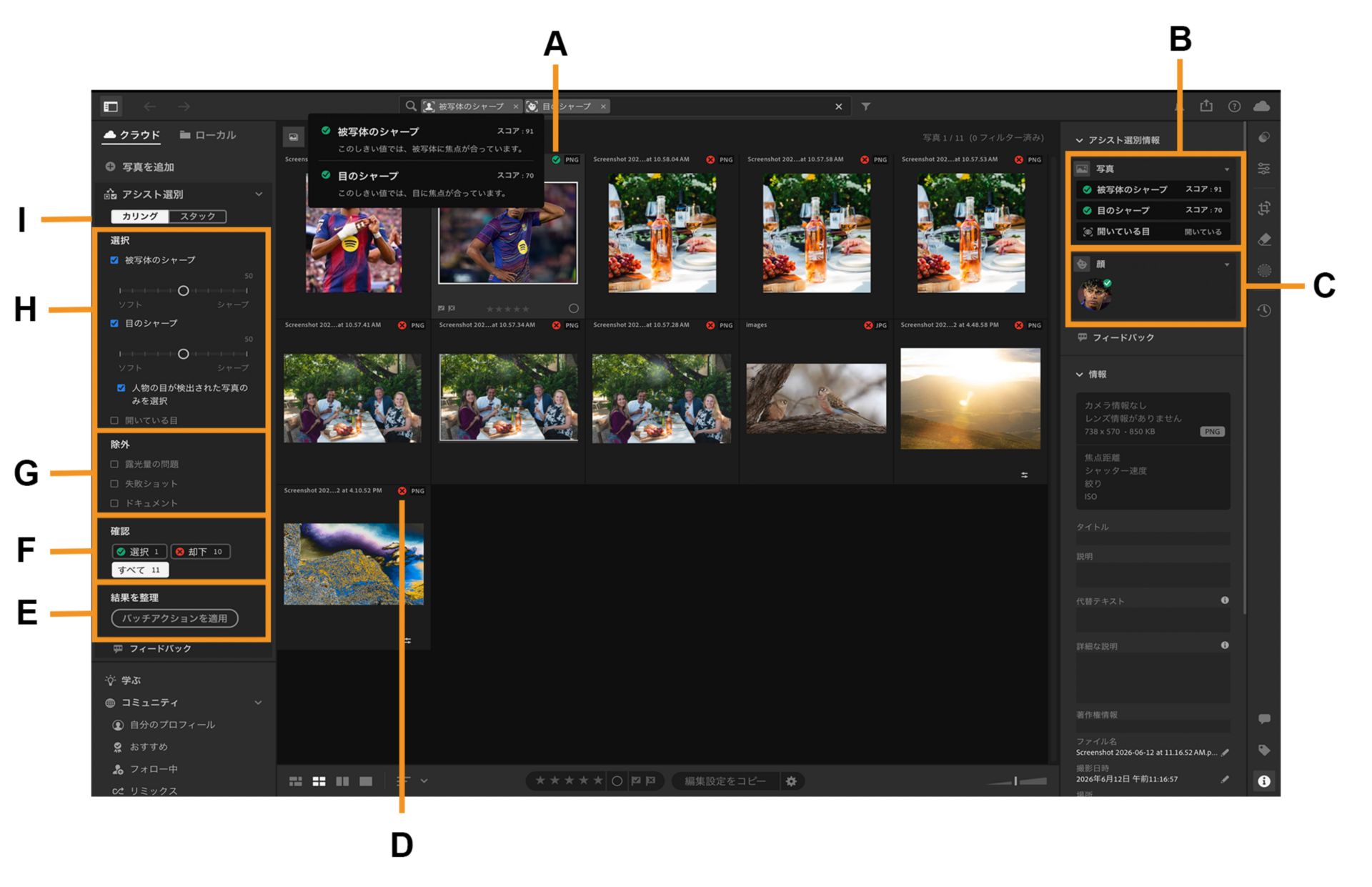 子供たちのアルバムが Lightroom カンバスで開かれ、アシスト選別の概要が強調表示されています。